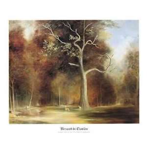  Forest Sanctuary By Bernard De Claviere Highest Quality 