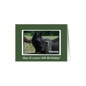  Happy 13th Birthday Horse Card Toys & Games