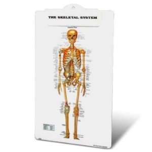  Skeleton System Clipboard