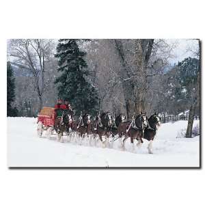  Clydesdales   Snowing in Forest   16x24 Canvas