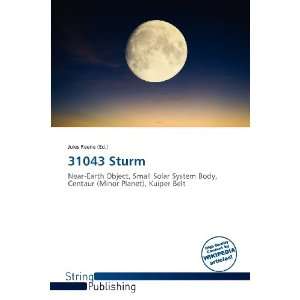  31043 Sturm (9786138518822) Jules Reene Books