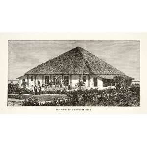  1881 Print Residence Home Coffer Planter Sri Lanka Ceylon 