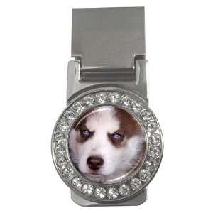  Siberian Husky Puppy Dog 17 Money Clip CZ W0631 