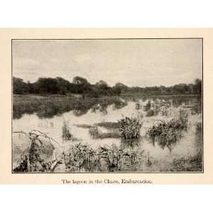  1919 Halftone Print Lagoon Chaco Embarcacion Salta Argentina 