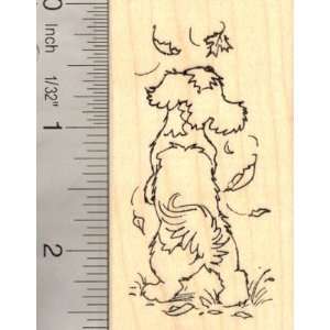 Shih Tzu with Autumn Leaves Rubber Stamp