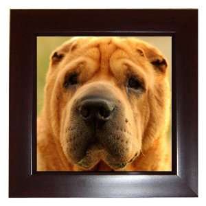  Sharpei 6 Framed Tile G0764 