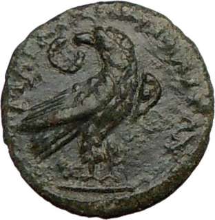 SEPTIMIUS SEVERUS 193AD Marcianopolis Authentic Ancient Roman Coin w 