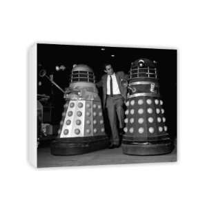 Doctor Who   The Daleks   Canvas   Medium   30x45cm 