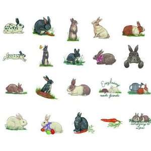  Great Notions Embroidery Machine Designs BUNNY III 