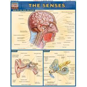 Senses, Laminated Giude, sold by 100 Health & Personal 