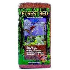 Rex Forest Bed 