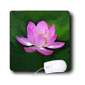  Flowers   lotus   Mouse Pads Electronics