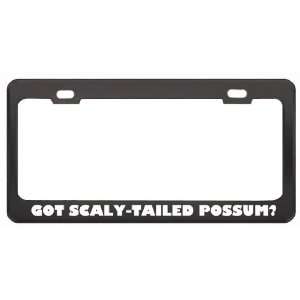 Got Scaly Tailed Possum? Animals Pets Black Metal License Plate Frame 