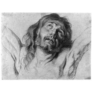  Head of the savour in agony. Ecce Homo
