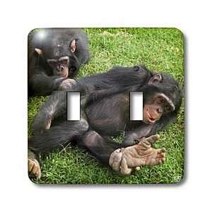 Kike Calvo Animals   Rescue Chimpancees   Light Switch Covers   double 