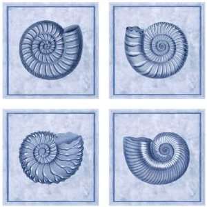  Blue Nautilus by Sarah Elizabeth Chilton. Size 12.00 X 12 