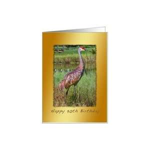  Birthday, 90th, Sandhill Crane Bird Card Toys & Games