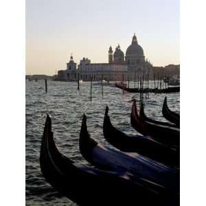 Gondolas and S. Maria Salute, Venice, Veneto, Italy Photographic 