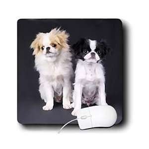  Dogs Japanese Chin   Japanese Chin   Mouse Pads 