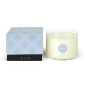  100% Soy Wax Candle   Anjoumint, 15 oz.