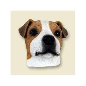  Jack Russell Terrier Brown & White w/Smooth Coat Doogie 