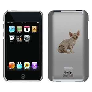  Devon Rex on iPod Touch 2G 3G CoZip Case Electronics