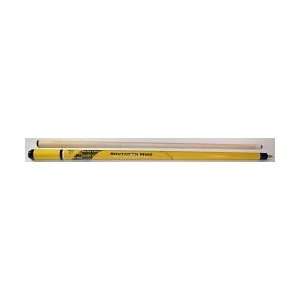   Golden Eagles Blizzard Billiard Cue Stick