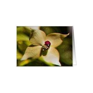  Ladybug On Dogwood Digital Art Blank Note Card Card 