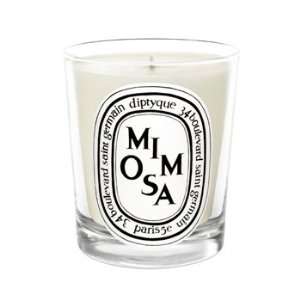  Diptyque Mimosa Candle Candle Beauty