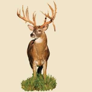   Whitetail Buck with Drop Tyne Indoor Wall Graphic