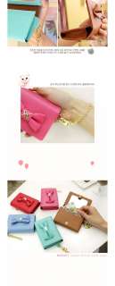 Jetoy] MINUET LOVELY Mirror Card Case / Credit Name ID Wallet Photo 