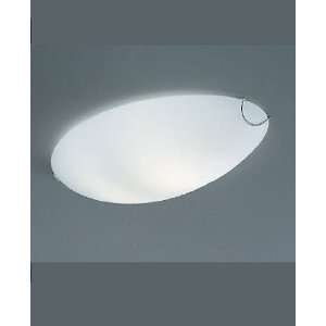 Dodo ceiling light   110   125V (for use in the U.S 
