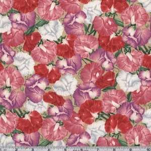  45 Wide From The Garden Sweet Peas Purple Fabric By The 