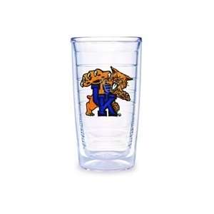  Kentucky Insulated Tumblers 2 pack