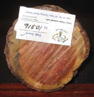 EXOTIC PINK IVORY Wood Turning Log Blank Lathe 5 1/2 x 5 1/4  