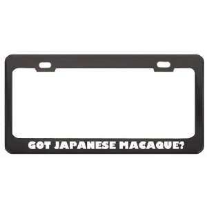 Got Japanese Macaque? Animals Pets Black Metal License Plate Frame 