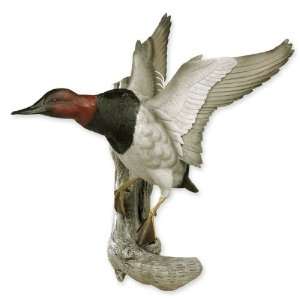 Flying Canvasback Duck Wall Sculpture