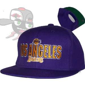    Los Angeles Lakers All Purple Snapback Hat Cap 