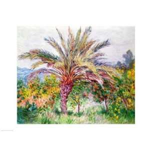  Palm Tree at Bordighera   Poster by Claude Monet (24x18 