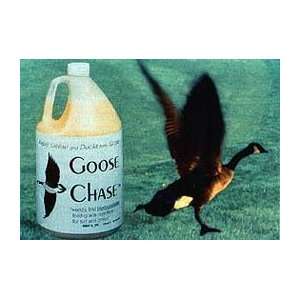  Bird X 1 Gal Repellent Goose Chase