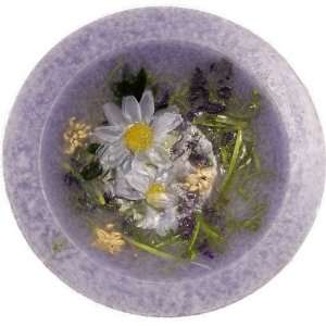  Lavender Chamomile Habersham Wax Pottery Bowl 7 Inch with 