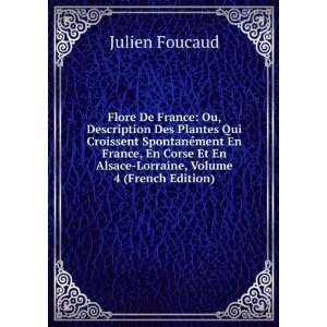   En France, En Corse Et En Alsace Lorraine, Volume 4 (French Edition