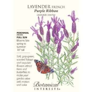  Lavender French Purple Ribbon Seeds 100 Seeds Patio, Lawn 