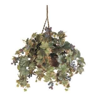    Nearly Natural Grape Leaf Hanging Basket Silk Plant