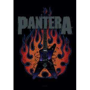  Pantera Flaming Guitar Fabric Poster
