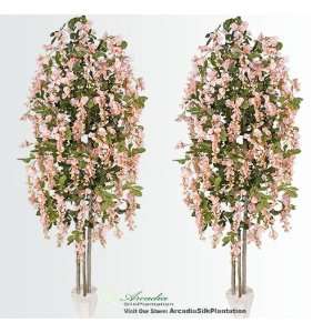   Trees each with approx. 105 flower clusters _Coral