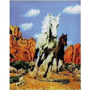  3D Lenticular Picture / Poster 10.5 X 13.5   HORSES IN 