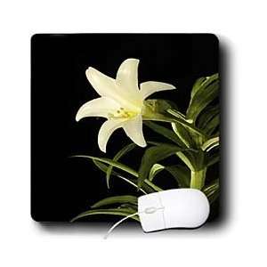  Flowers   Lily   Mouse Pads Electronics