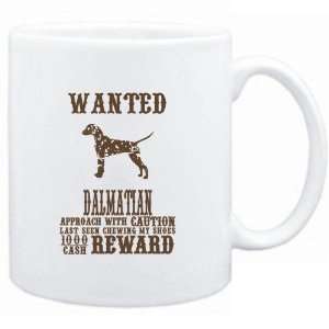   White  Wanted Dalmatian   $1000 Cash Reward  Dogs