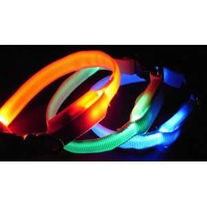  LED Illumination Pet/dog Collar, S/m/l/xl Sizes Available 